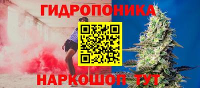 сатива Коммунар