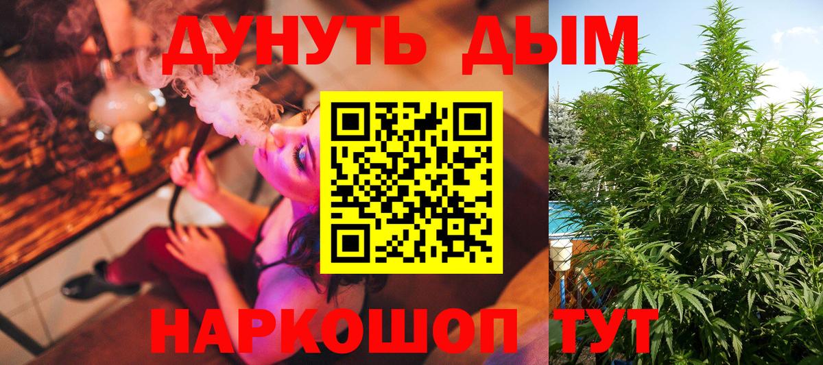 Бошки Шишки план Заводоуковск